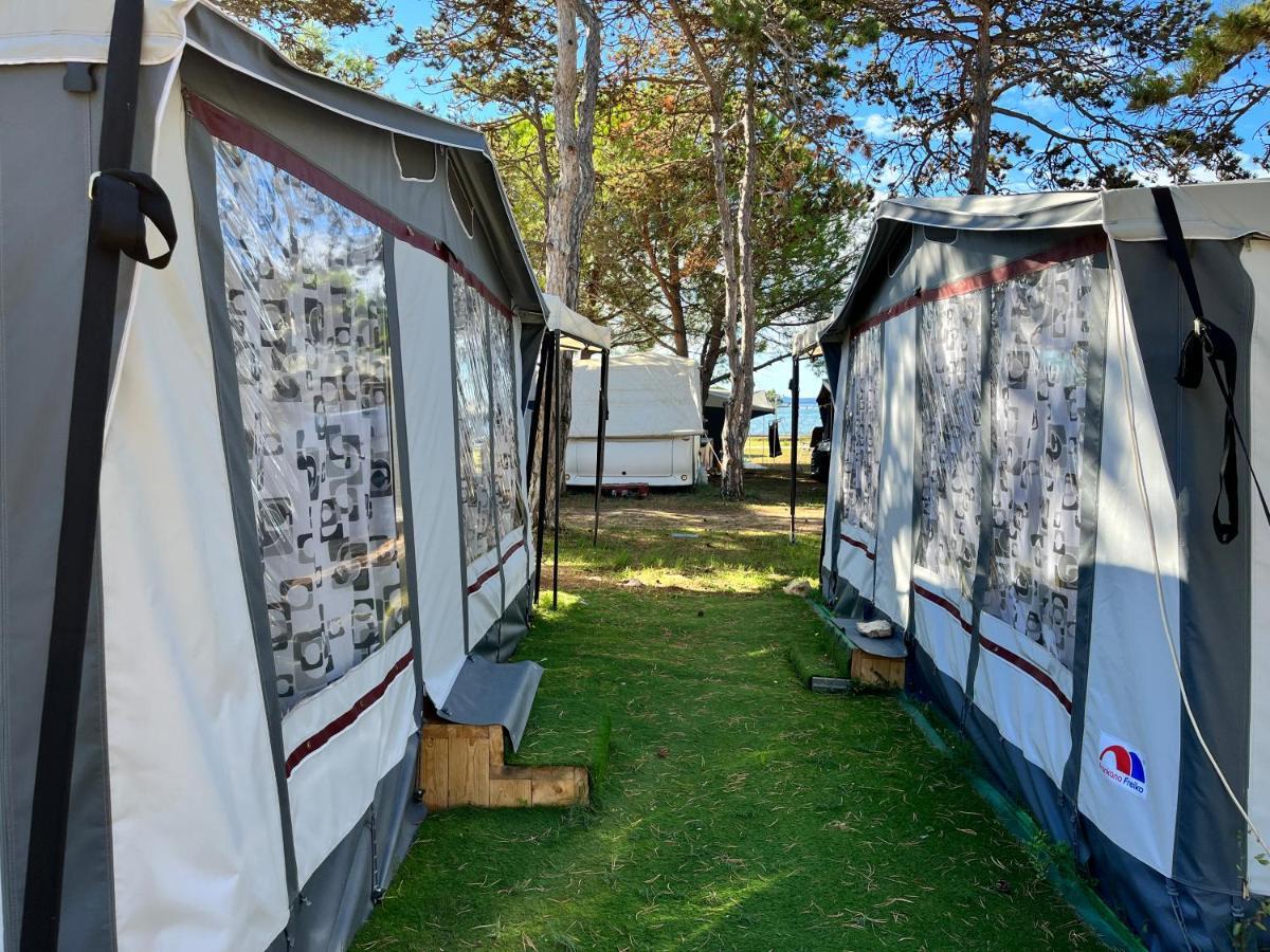 Dalmacia Mobile Homes And Caravans At The Beach Privlaka  Εξωτερικό φωτογραφία